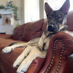 Meet your Posher, Blake